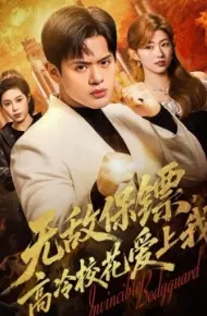 无敌保镖，高冷校花爱上我