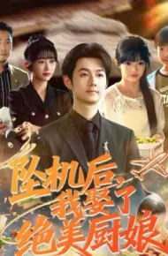 坠机后我娶了绝美厨娘
