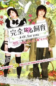完全饲育：专属女仆