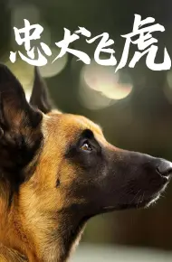 忠犬飞虎