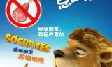 动物总动员
