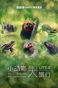 小动物大旅行第一季