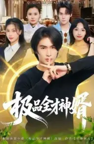 极品全才神婿