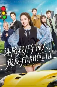 诬陷我开车撞人，我反手掏出色盲证