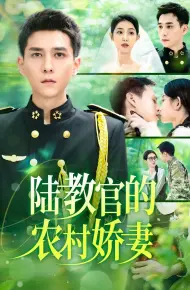 陆教官的农村娇妻
