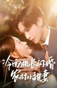 冷面机长闪婚农村小甜妻