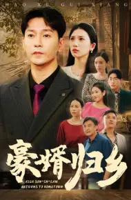 豪婚归乡