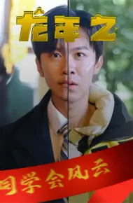 龙年之同学会风云