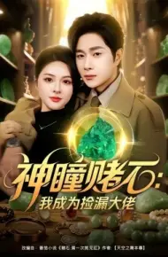 神瞳赌石:我成为捡漏大佬