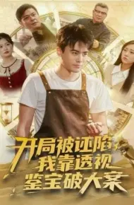 开局被诬陷,我靠透视鉴宝破大案