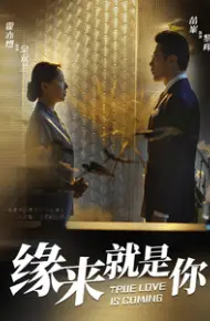 缘来就是你 短剧版