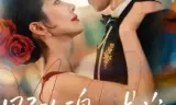 野玫瑰她是谁