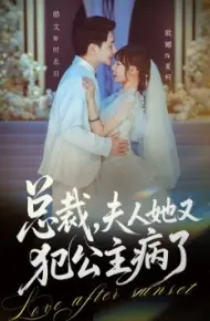 总裁，夫人她又犯公主病了