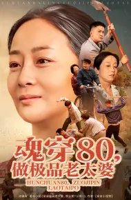 魂穿80做极品老太婆