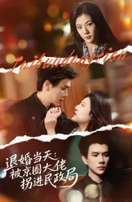 退婚当天：被京圈大佬拐进民政局