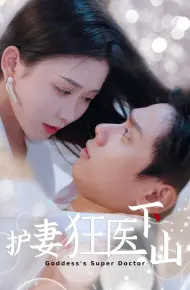 护妻狂医下山
