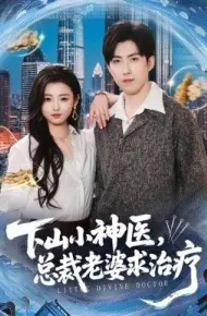 下山小神医,总裁老婆求治疗