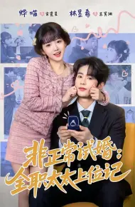 非正常试婚：全职太太上位记