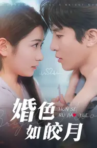 婚色如皎月