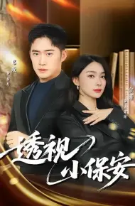 透视小保安