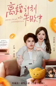 离婚计划失败中