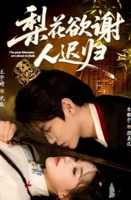 梨花欲谢人迟归