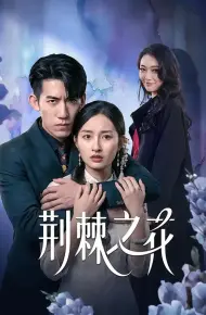 荆棘之花