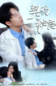 契约秘恋