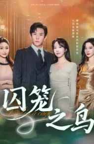 囚笼之鸟