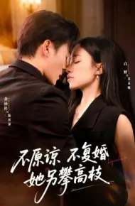 不原谅不复婚她另攀高枝