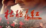 杜鹃花红