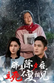 那年除夕后生死不复相见