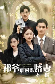 祁爷的闪婚娇妻不一般