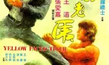 黄面老虎
