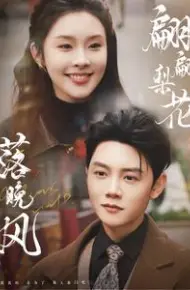 翩翩梨花落晚风