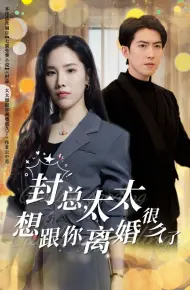 封总太太想跟你离婚很久了