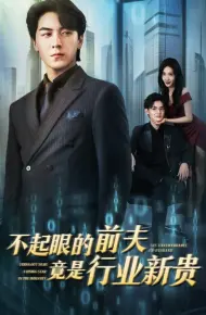 不起眼的前夫竟是行业新贵