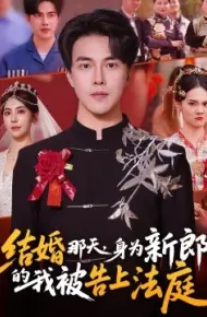 结婚那天，身为新郎的我被告上法庭