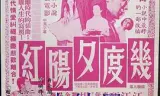 几度夕阳红大结局