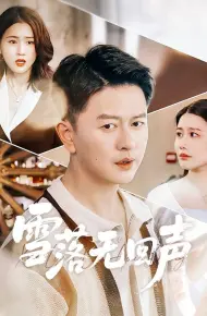 雪落无回声
