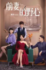 前妻的野心