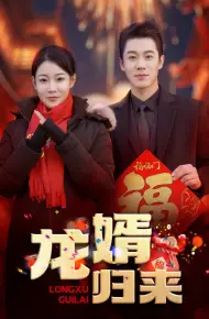 龙婿归来