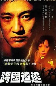 跨国追逃