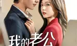 我的老公是秘书