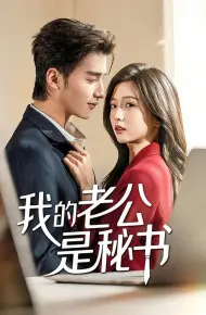 我的老公是秘书
