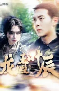 龙王殿叶辰