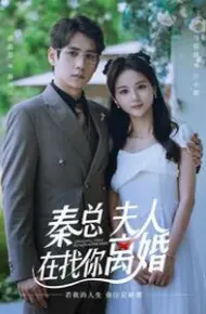 秦总,夫人在找你离婚
