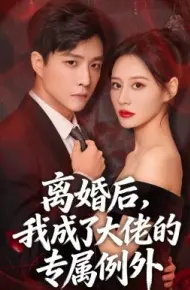 离婚后,我成了大佬的专属例外