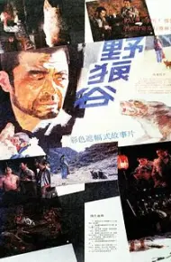 野狼谷