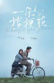 一朵桔梗花